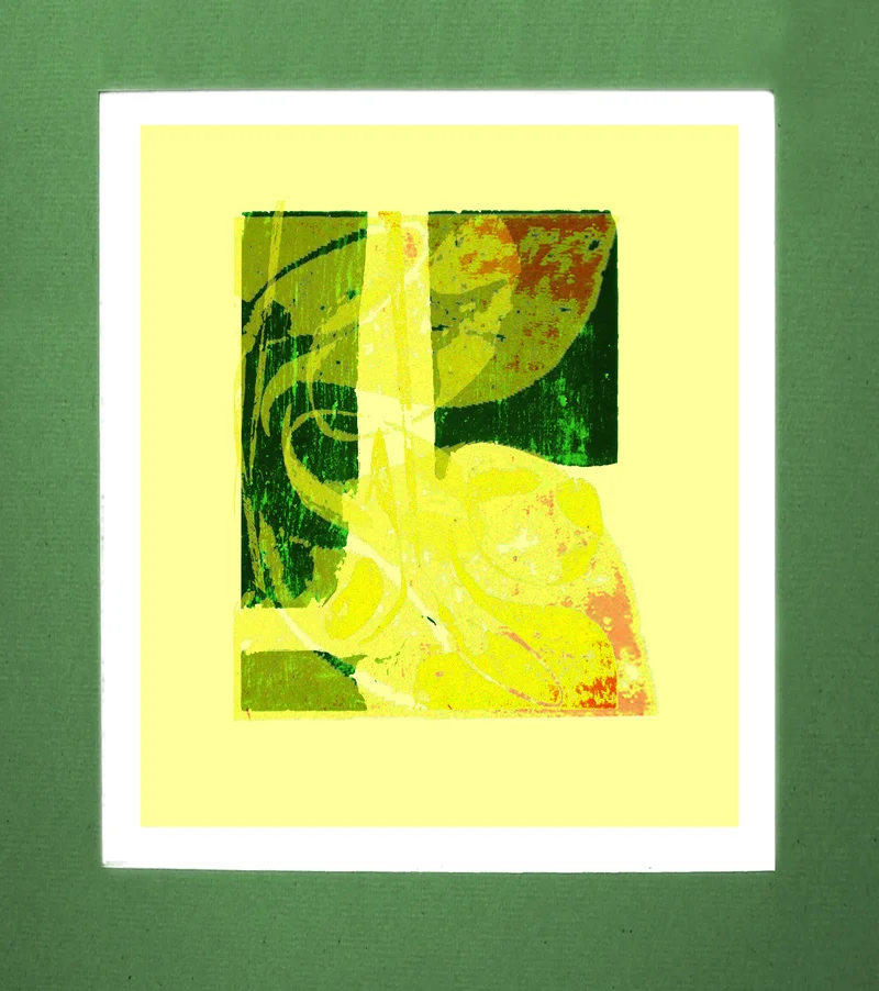 Susan's Garden 1968 ●