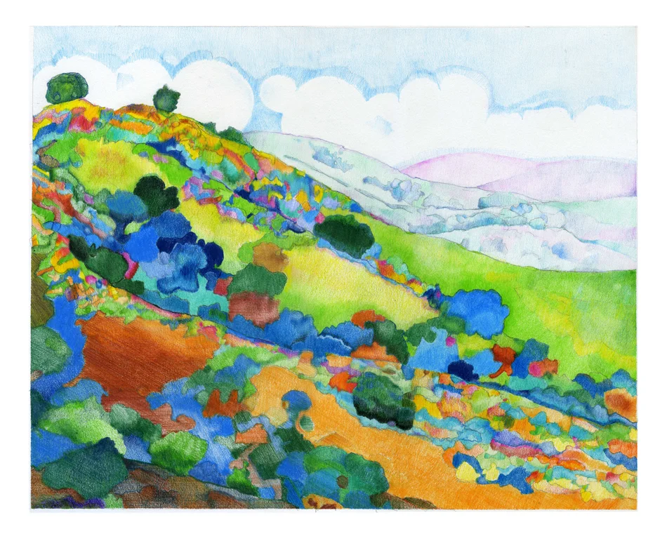 Field of Dreams 2013 ● Original $1250. ● Archival Print $125.