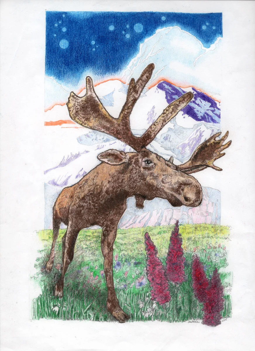 Moose Dreams 2015 ● Original $750. ● Archival Print $25.