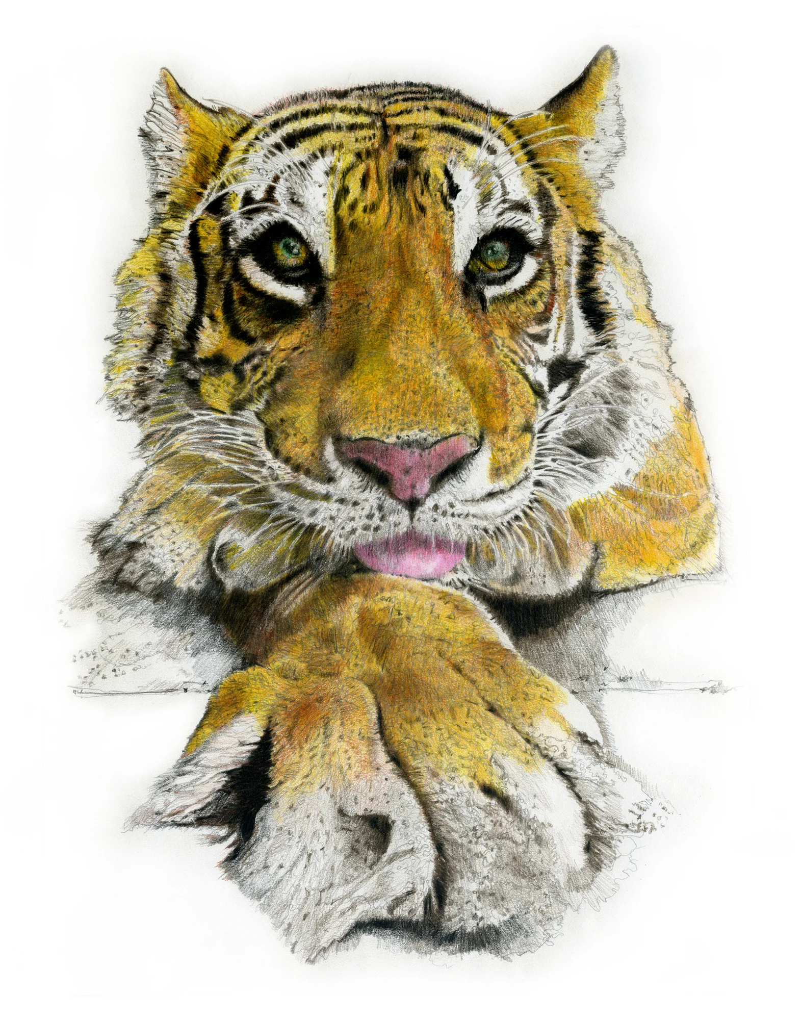 Tyger Bright ● Original $800. ● Archival Print $100.