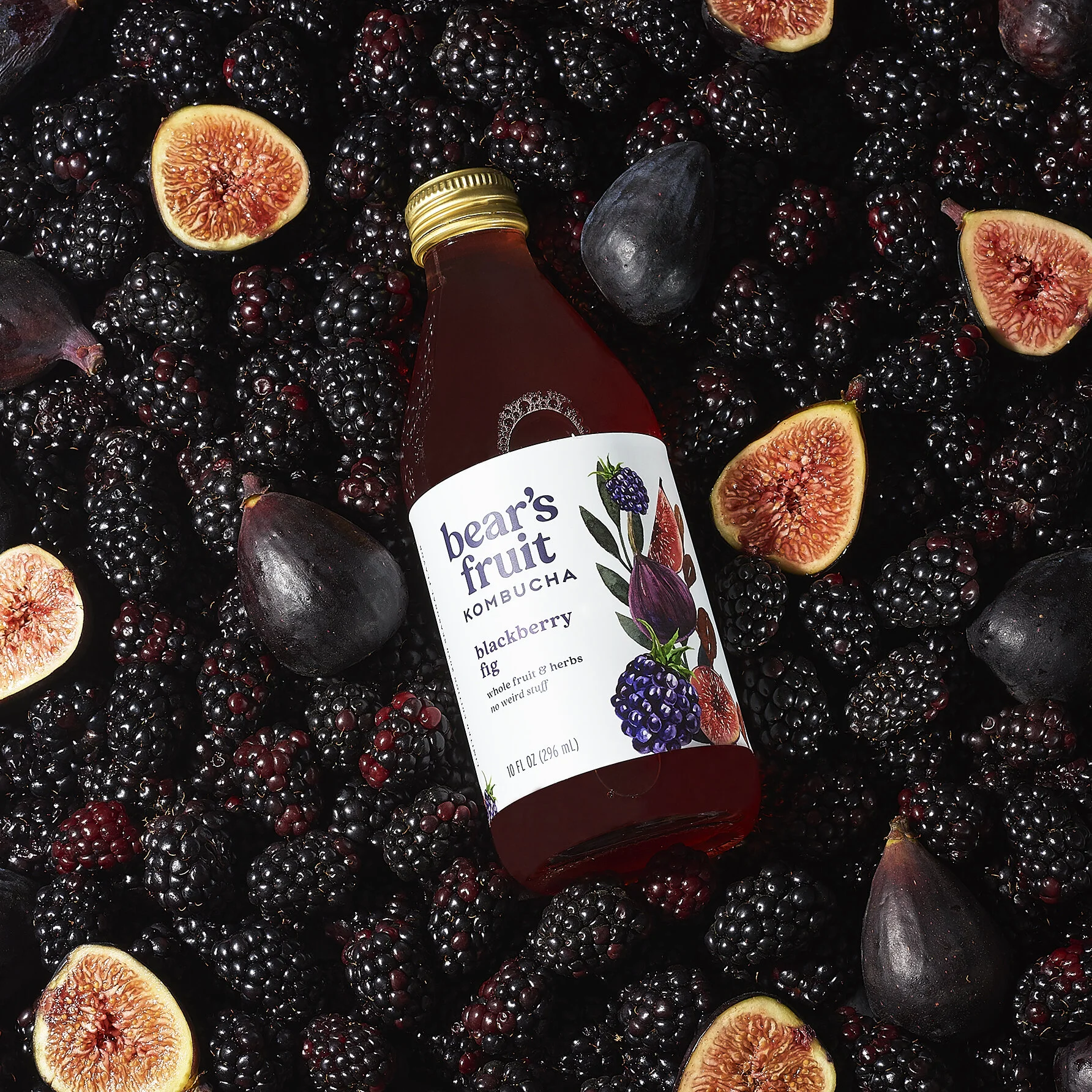 BlackBerry Fig_0090_FINAL.jpg