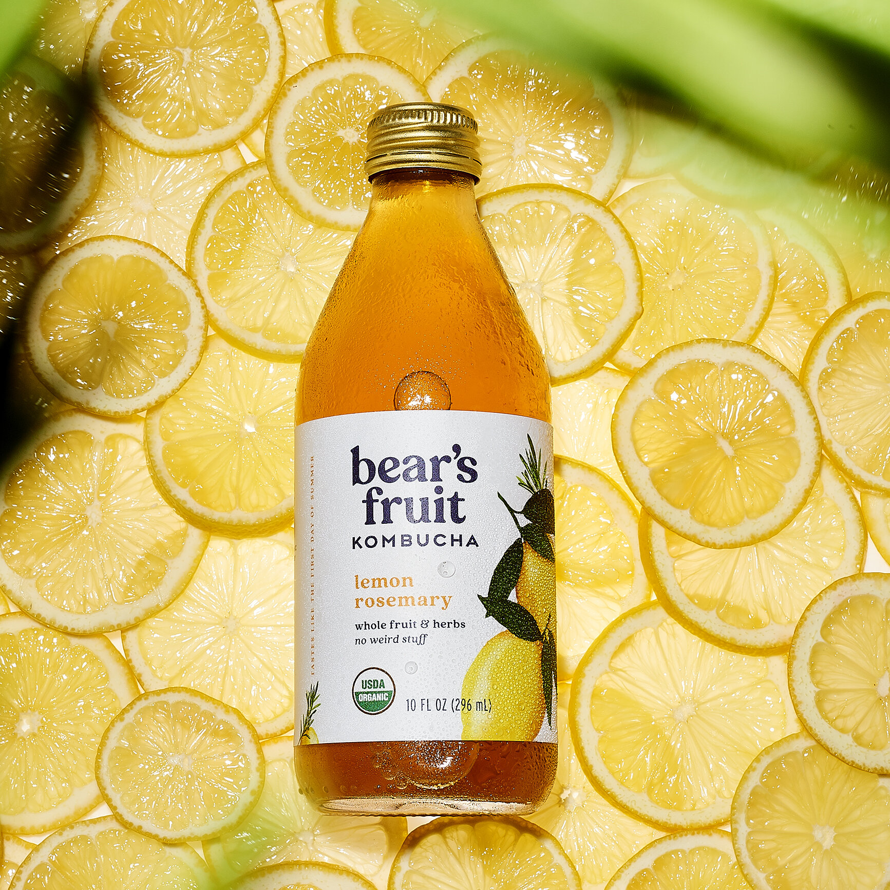 Lemon Rosemary_0462_HERO_FINAL.jpg