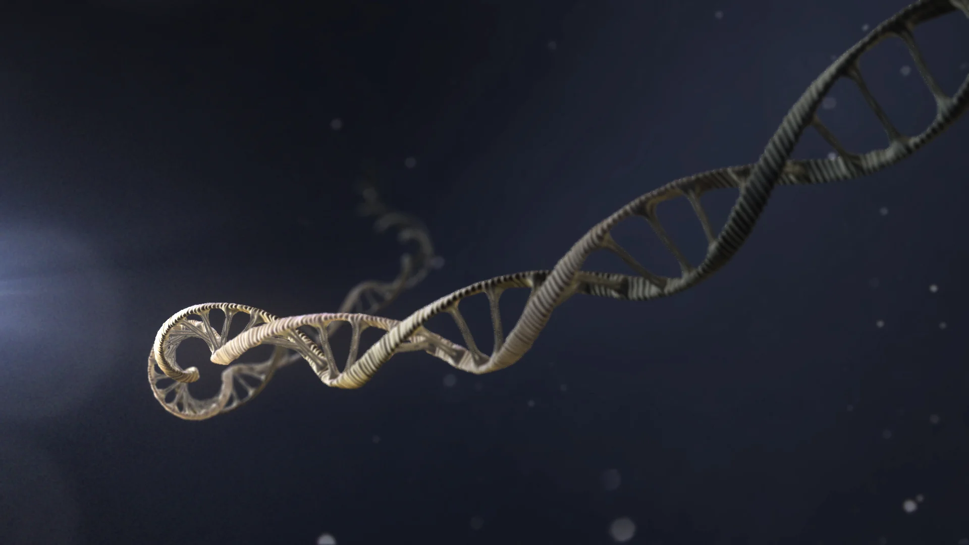 DNA Wide Shot