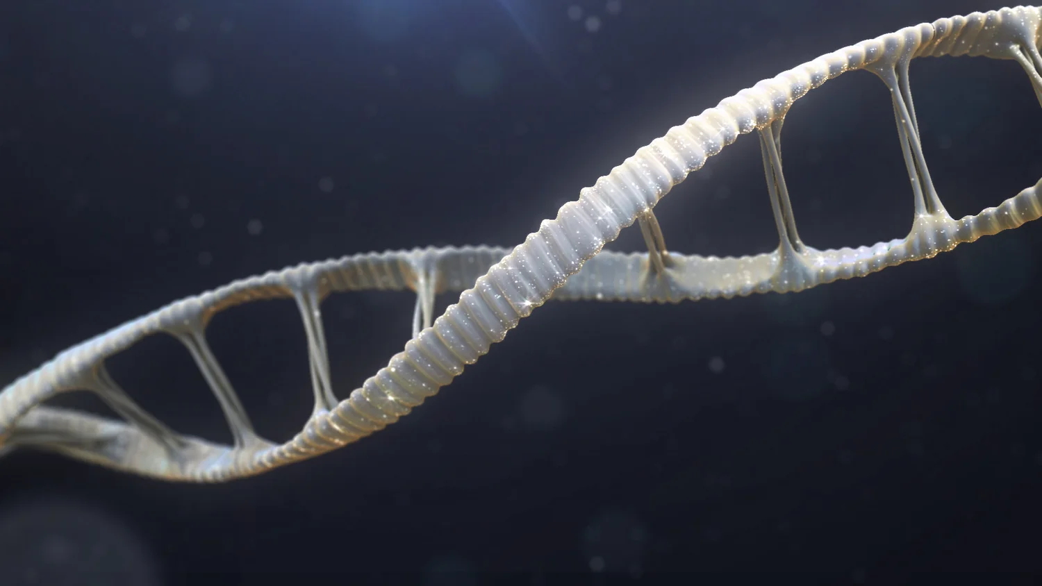 DNA_01.jpg