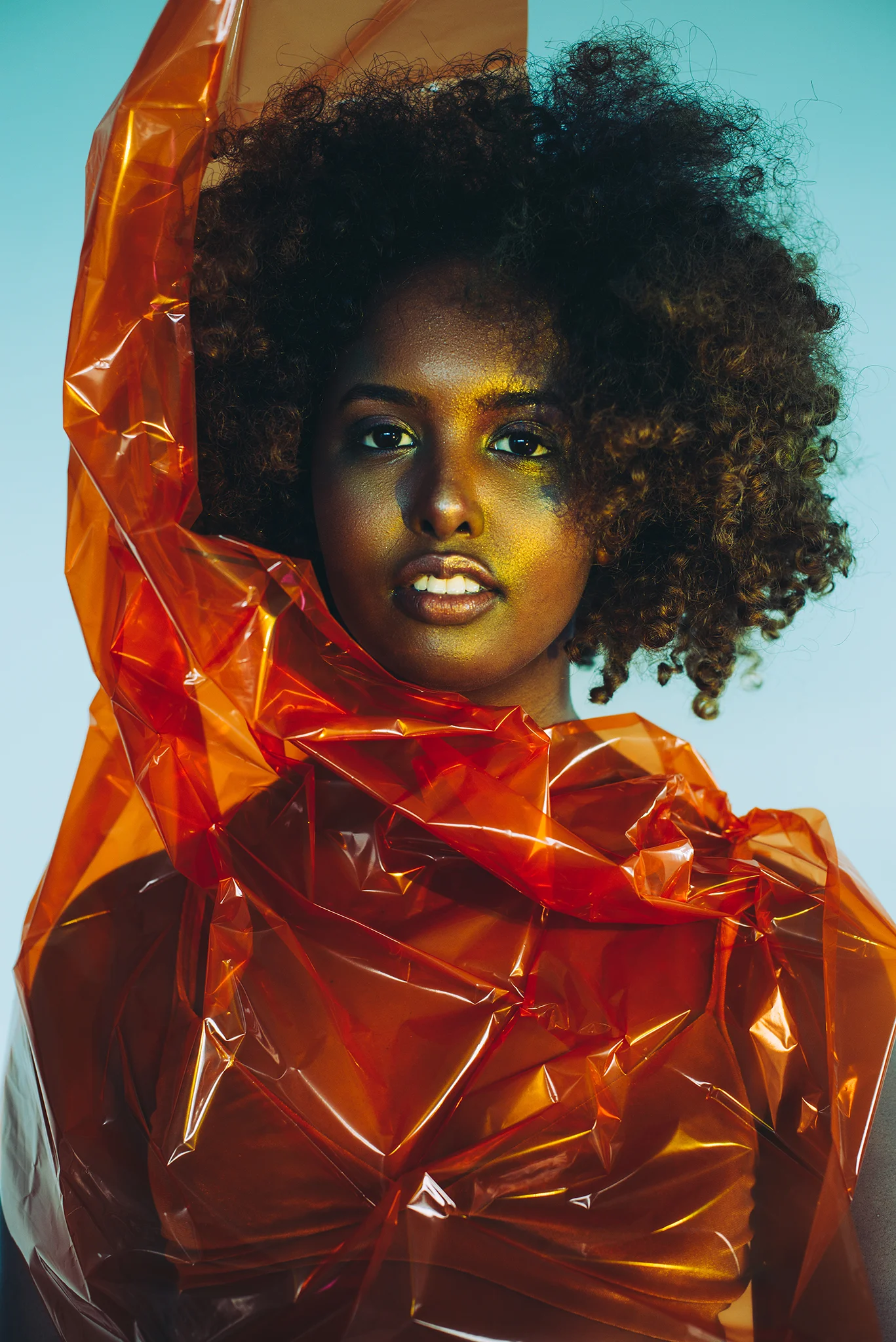 Image by Tasha Faye