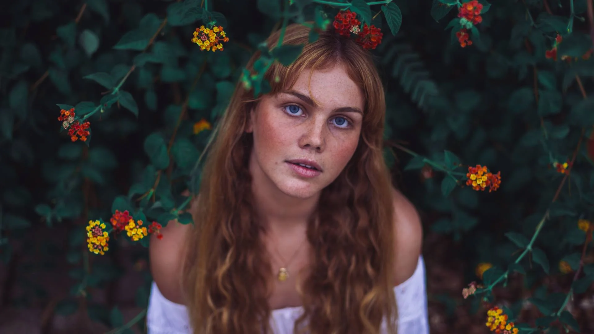 image by Tasha Faye