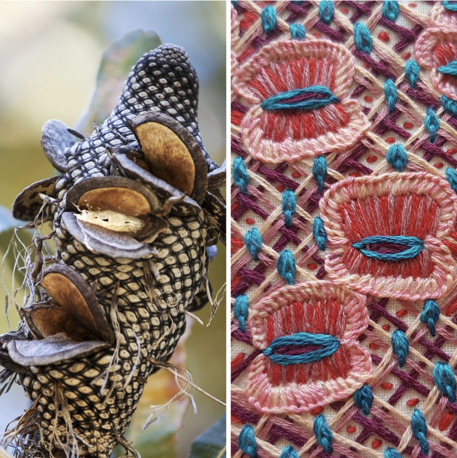 Wildflower Walk and Stitch with Susie Vickery & Trish Bygott