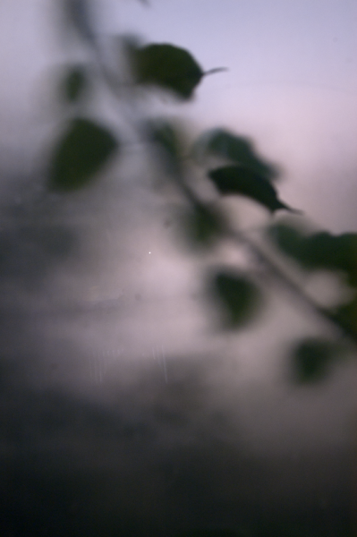 9_dsc5453two.png