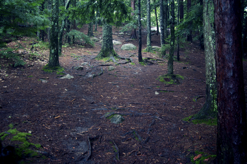 DSC_6512two.png