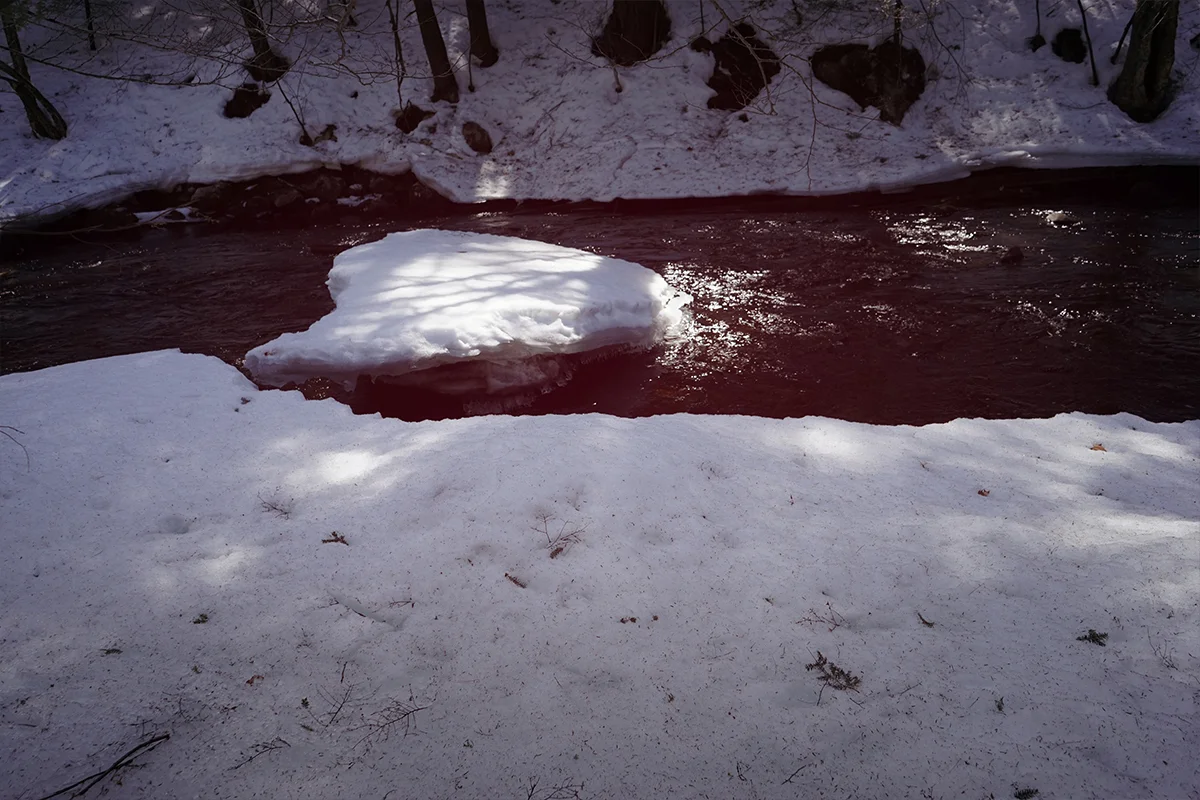DSC9763_.jpg