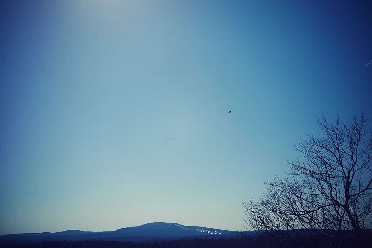 DSC09818.png