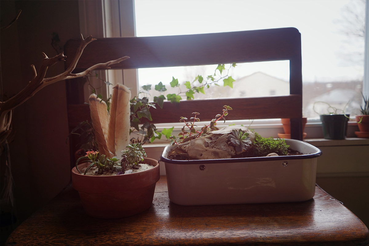 DSC09770_.jpg