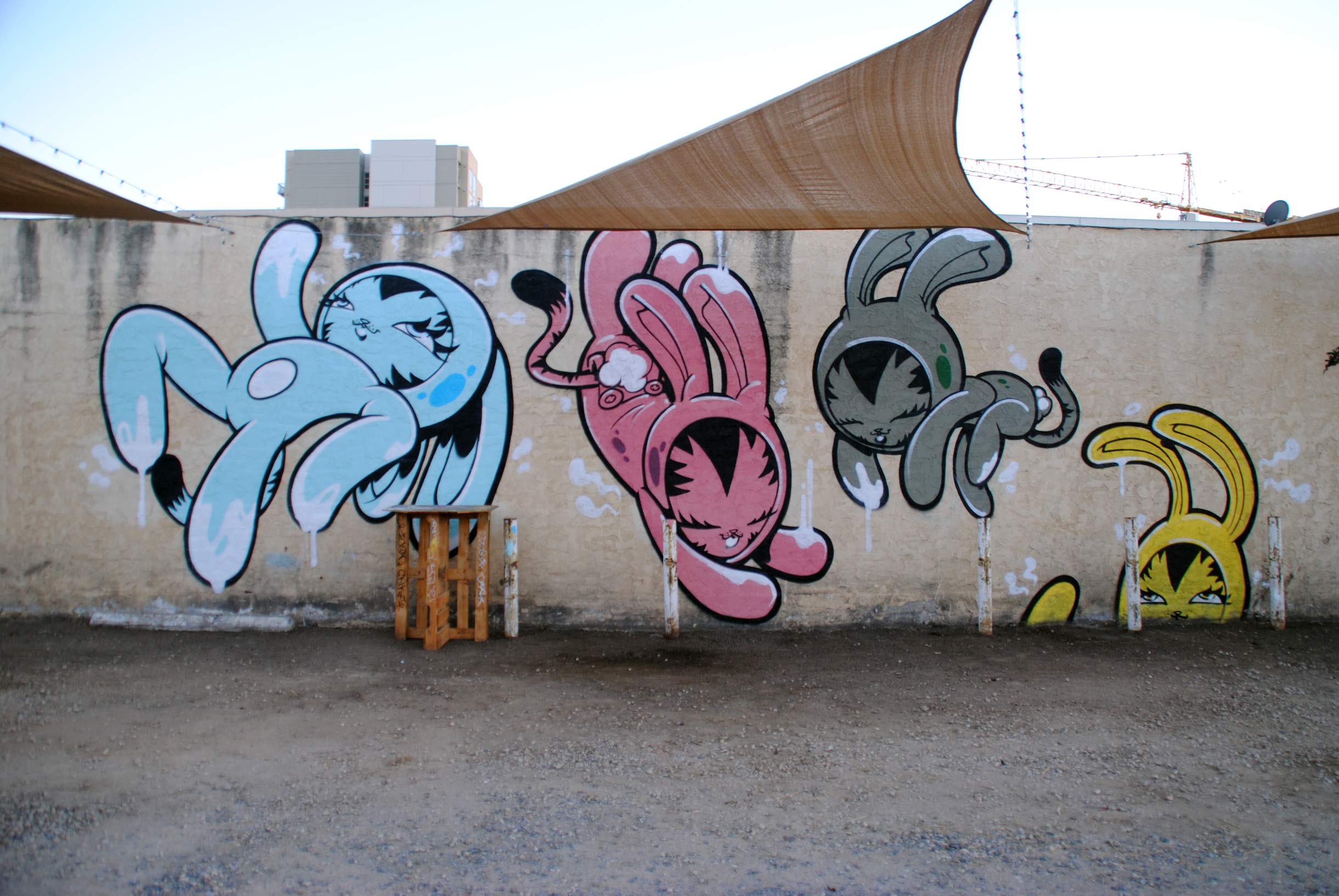 DSC_0408.jpg