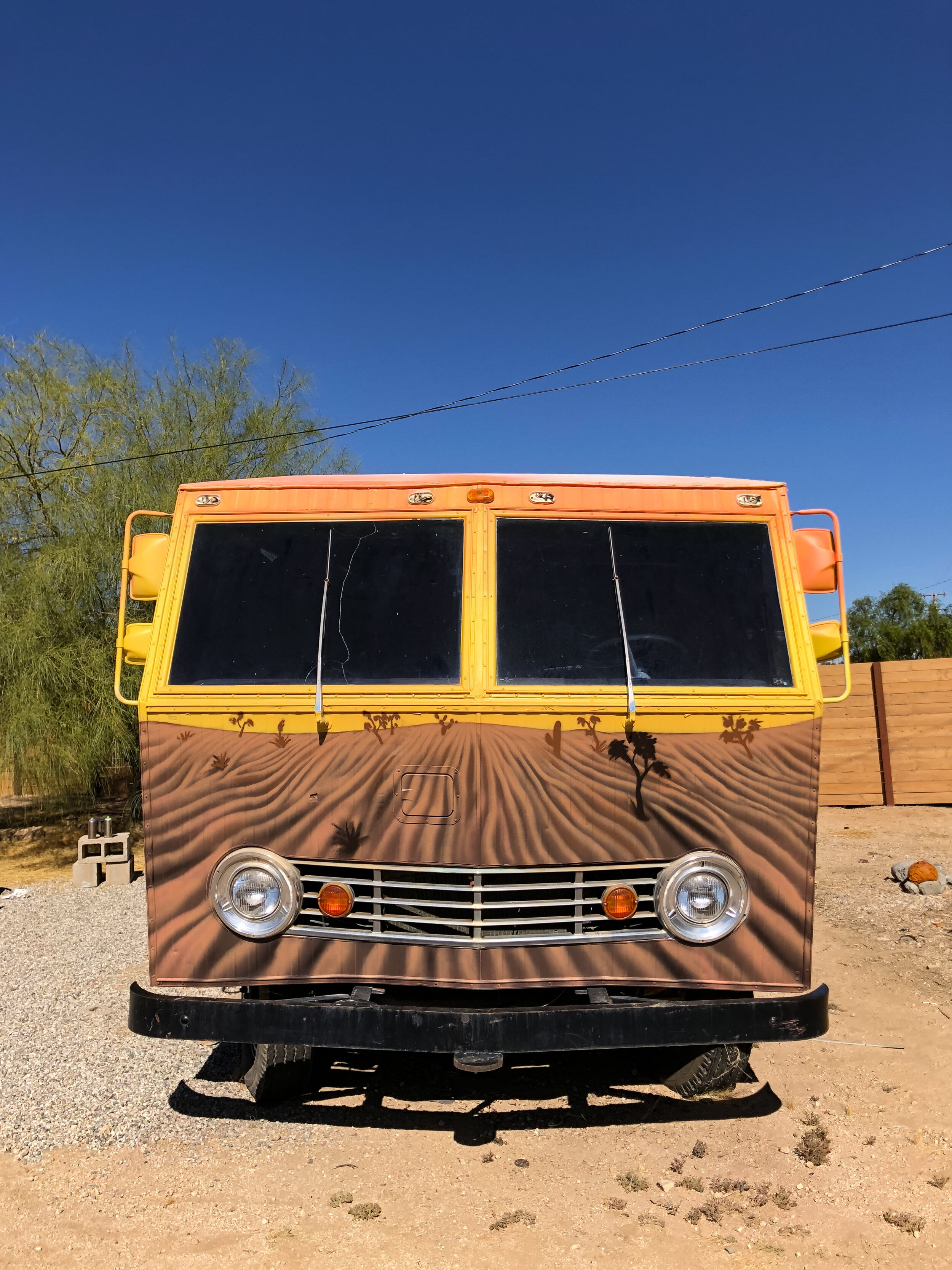 Christopher_Konecki-Joshua-Tree-Carly-Ealey-Mural-3_2963.jpg