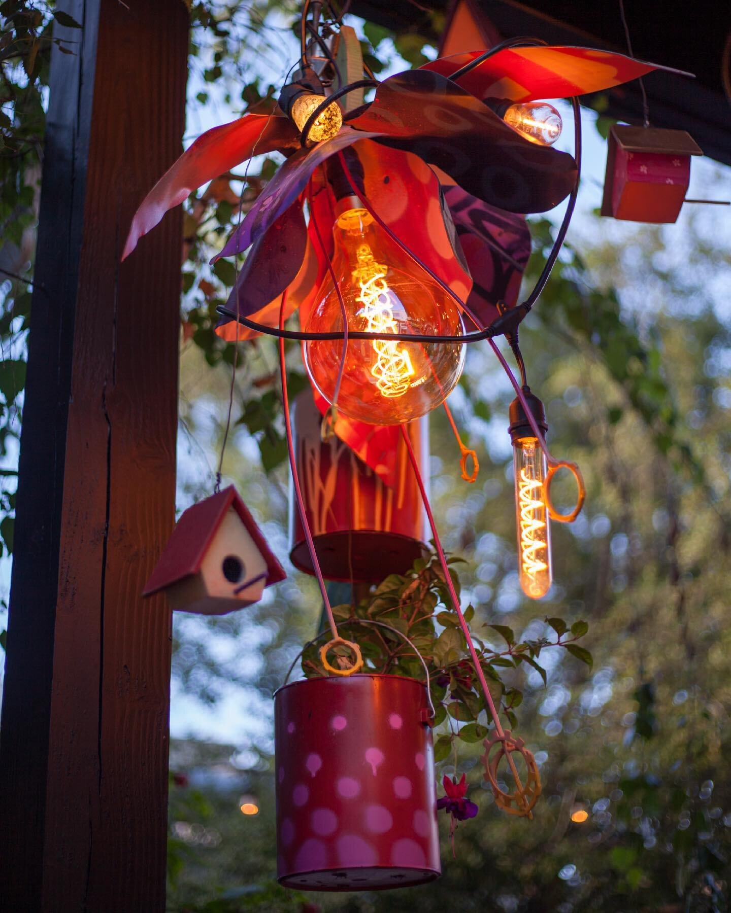 Detailed look at my hanging fuchsia flower chandelier at @parkandrecsd. Hummingbirds love these flowers and this one attracts-6ft-tall-keg/barrel-chested-king-of-all-the-birds types. 

I harvested the base from an old office fan, added flower petals 