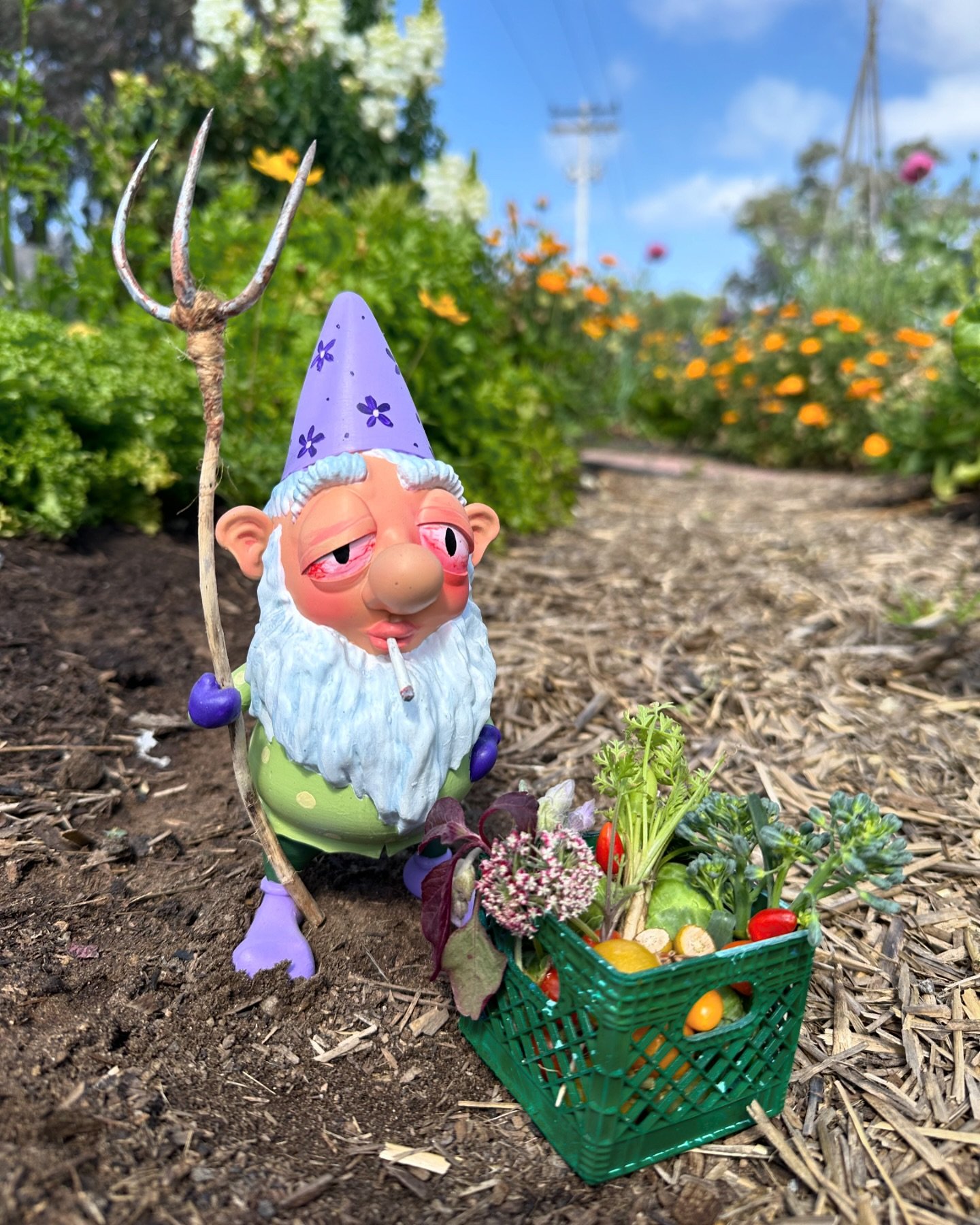 Happy 420 from your neighborhood homie, that Stoney Gnomey with a bountiful mini harvest from @gardenwithfriends 🌻🌿

#bigitup #420 #gardenwithfriends