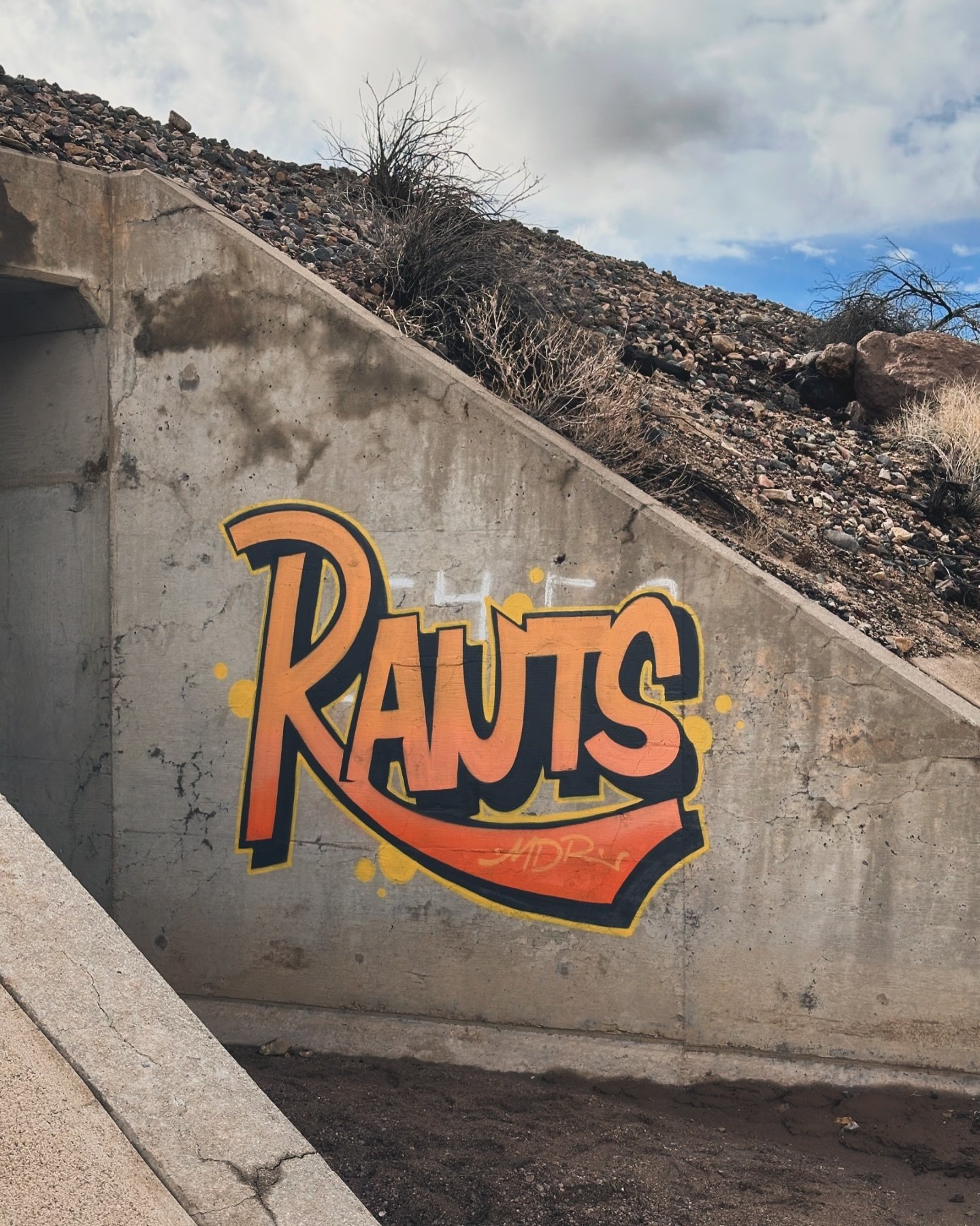 RANTING AND RAVING 

#graffiti #streetart #art #graffitiart #urbanart #graff #graffitiporn #spraypaint #mural #streetphotography #photography #artist #wallart #artwork #instagraffiti #street #painting #sprayart #streetarteverywhere #graffitiartist #h