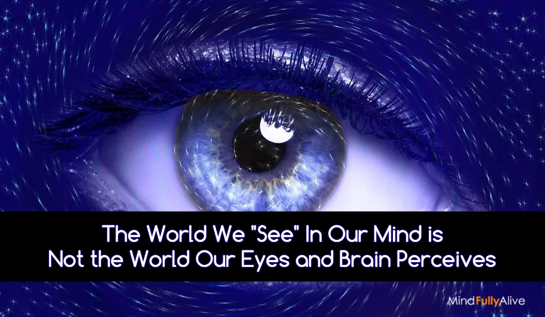  The World We "See" In Our Mind is Not the World Our Eyes and Brain Perceives