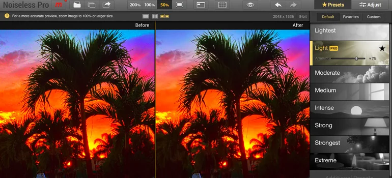 Review: Noiseless can help salvage grainy photos