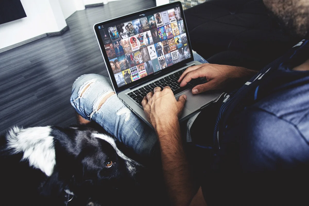 Popcorn Time lets you pirate from a browser window, and its creators want it legal