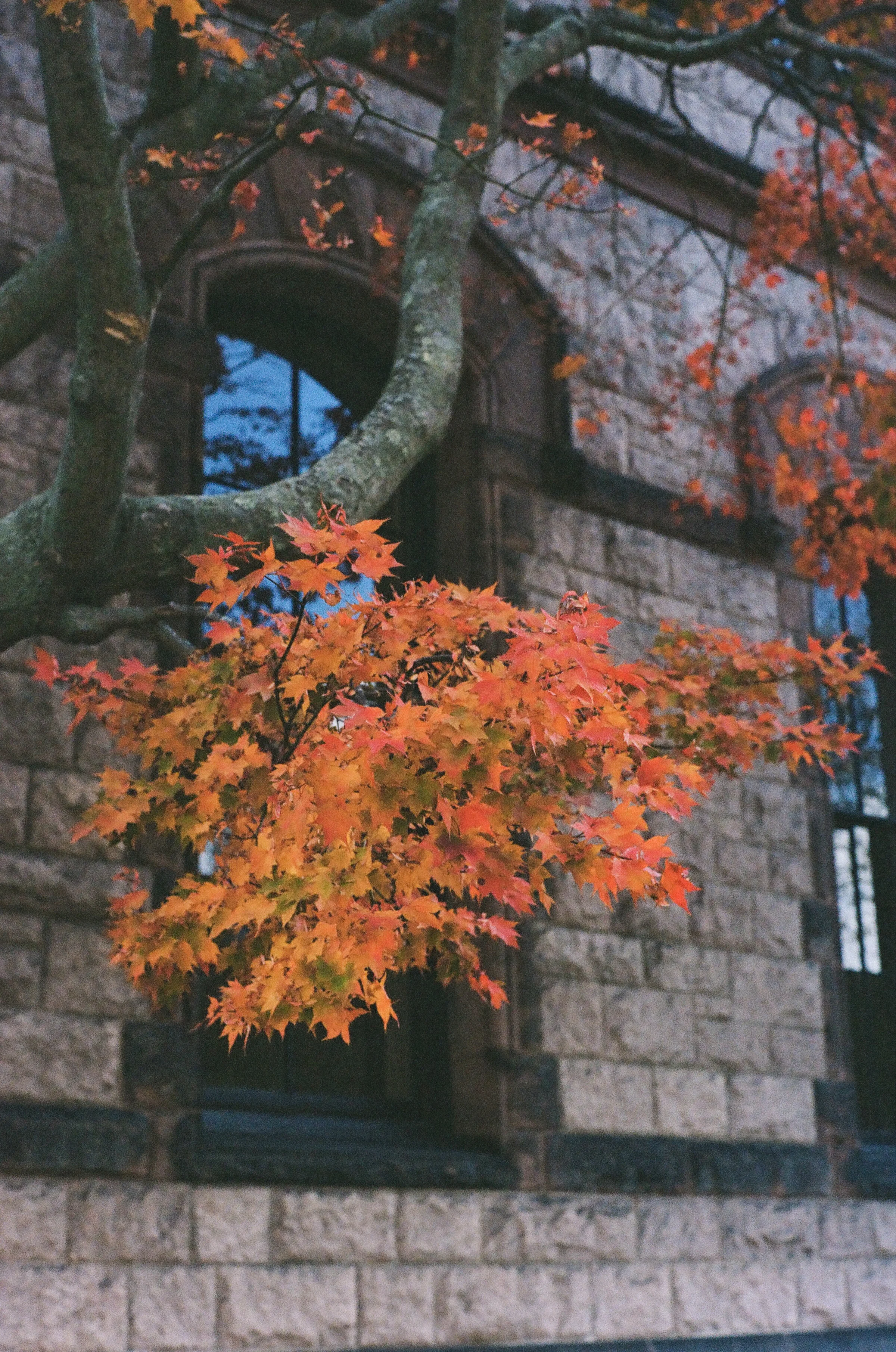 D95EFF82-FB57-429C-941D-A122D3469402 3.JPEG