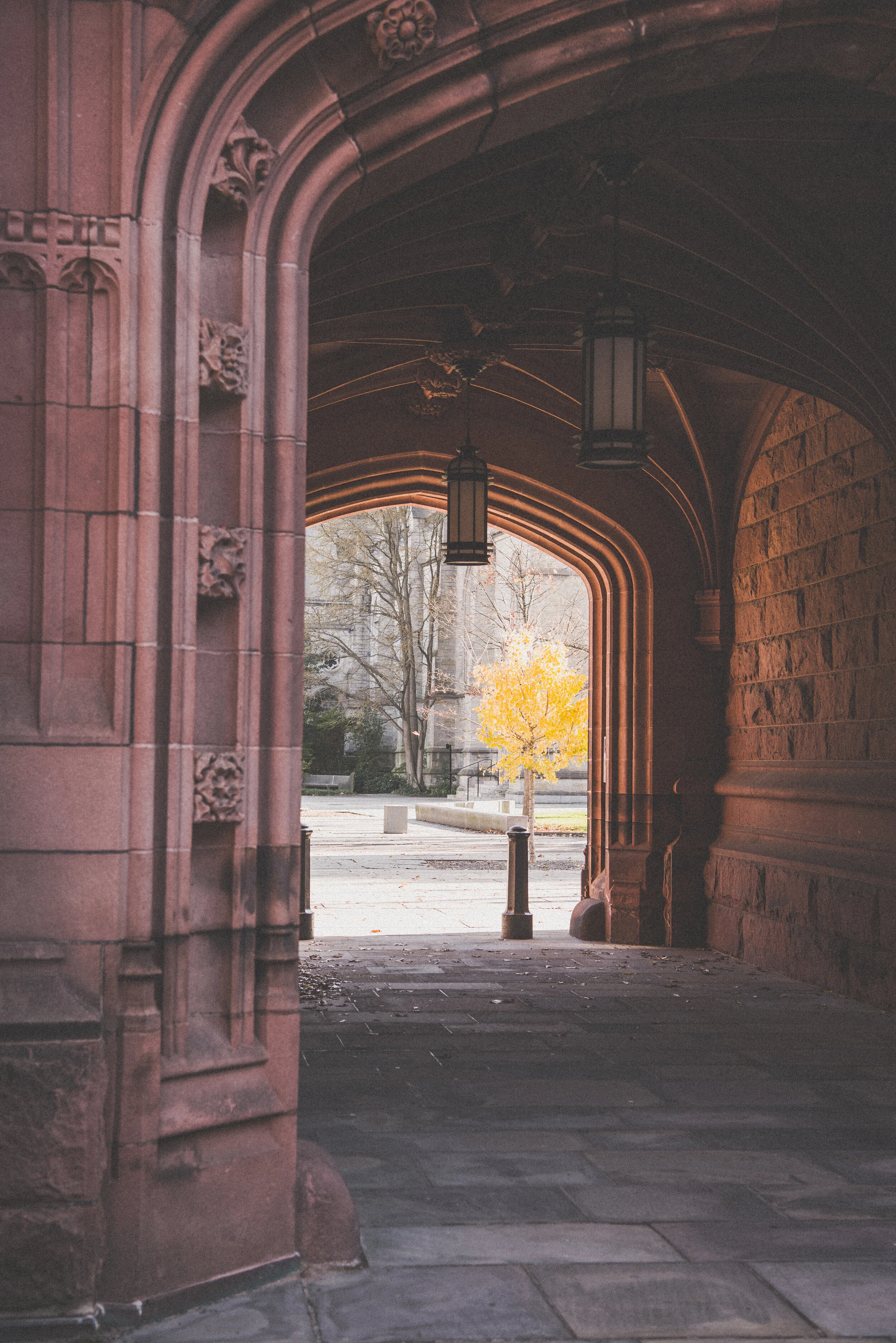 BD35ACD5-638C-443B-A031-0839C3C522B8 2.JPEG