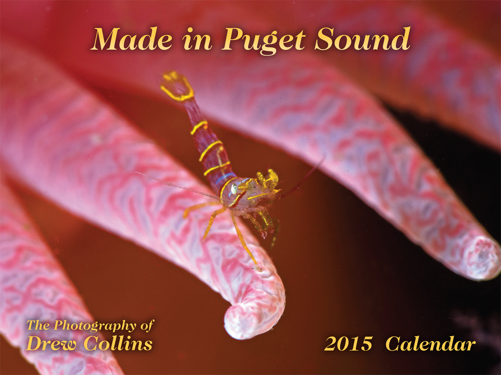 Made_in_Puget_Sound_2015.jpg