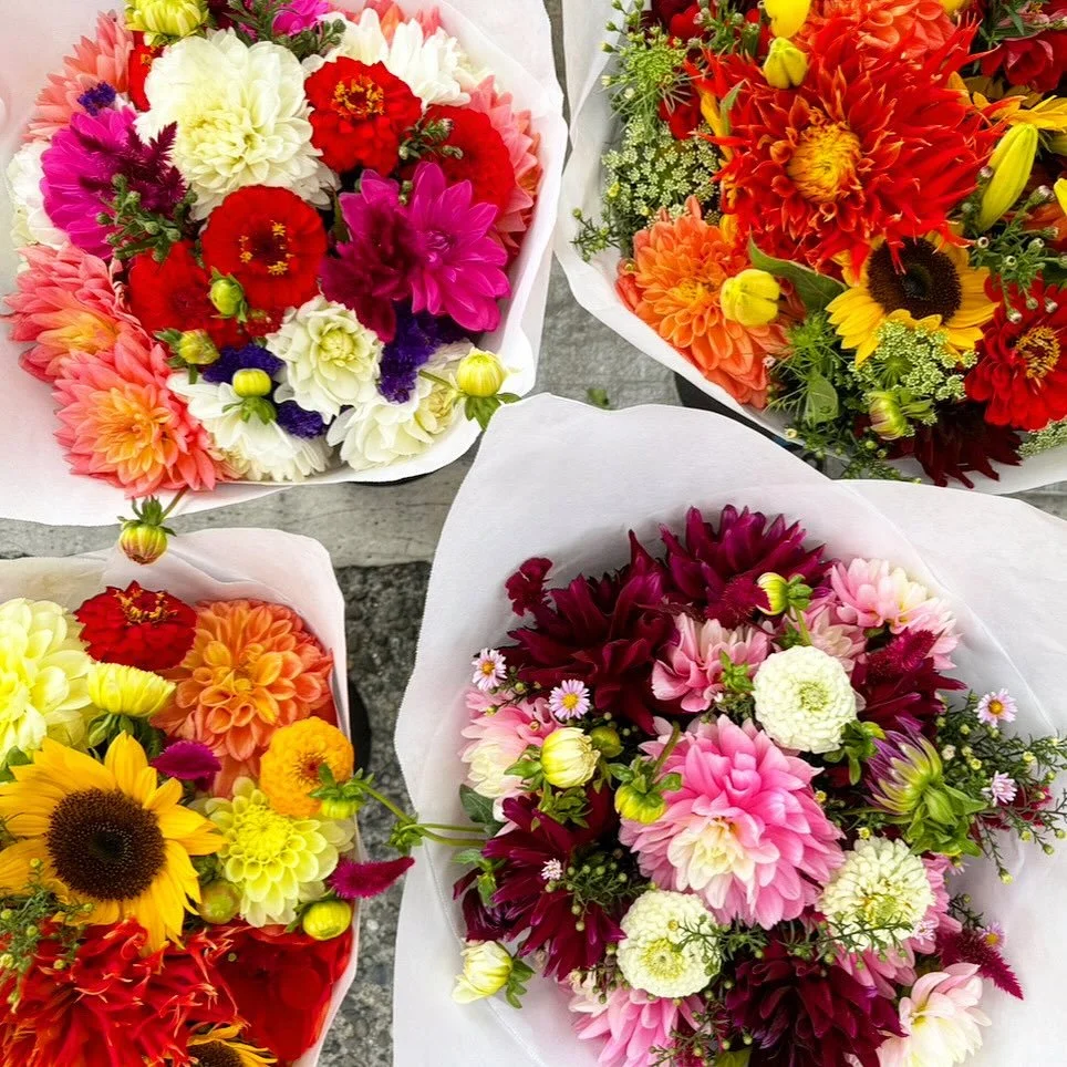 Fresh fall flowers curbside at both ends of the market today! Come join us today 10-4pm!