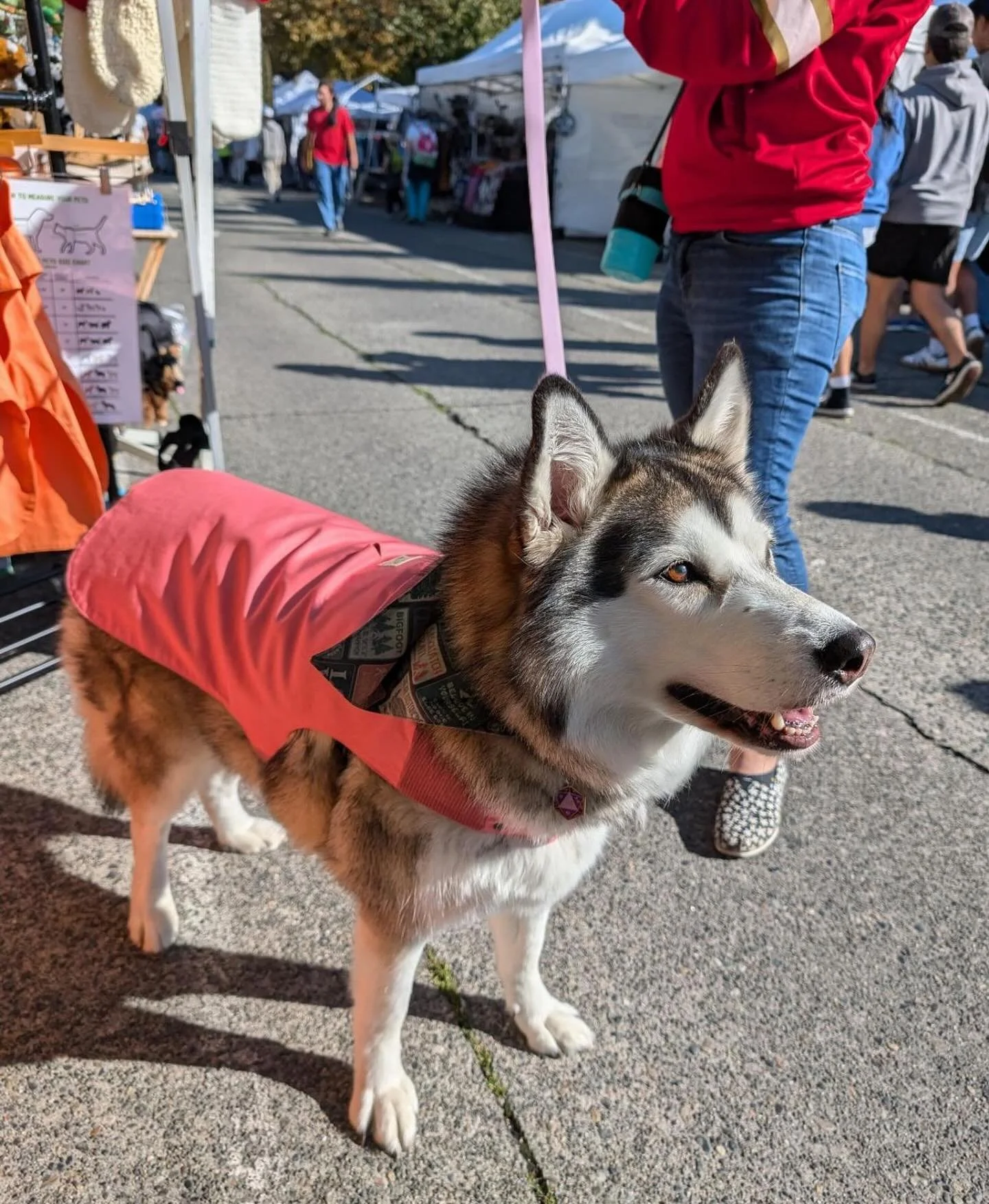 WOOF WOOF! Our friends at @wagalley are back this Sunday curbside to keep your four-legged friends dry and warm all winter long! Come on by and say hi and check out this new small business was! See us Sunday! #seattledog #seattldogwalker #seattledogs