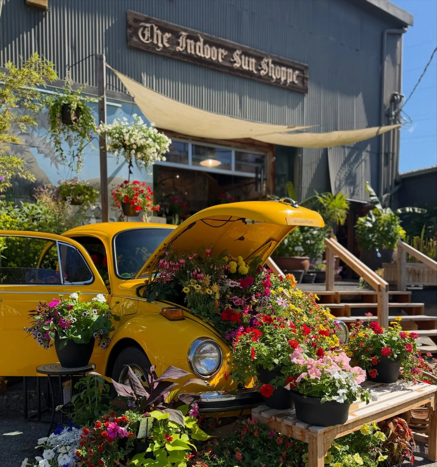 Sundays in Fremont with our favorite neighbors at @indoorsun ! Swing on by and make a day to explore the neighborhood!