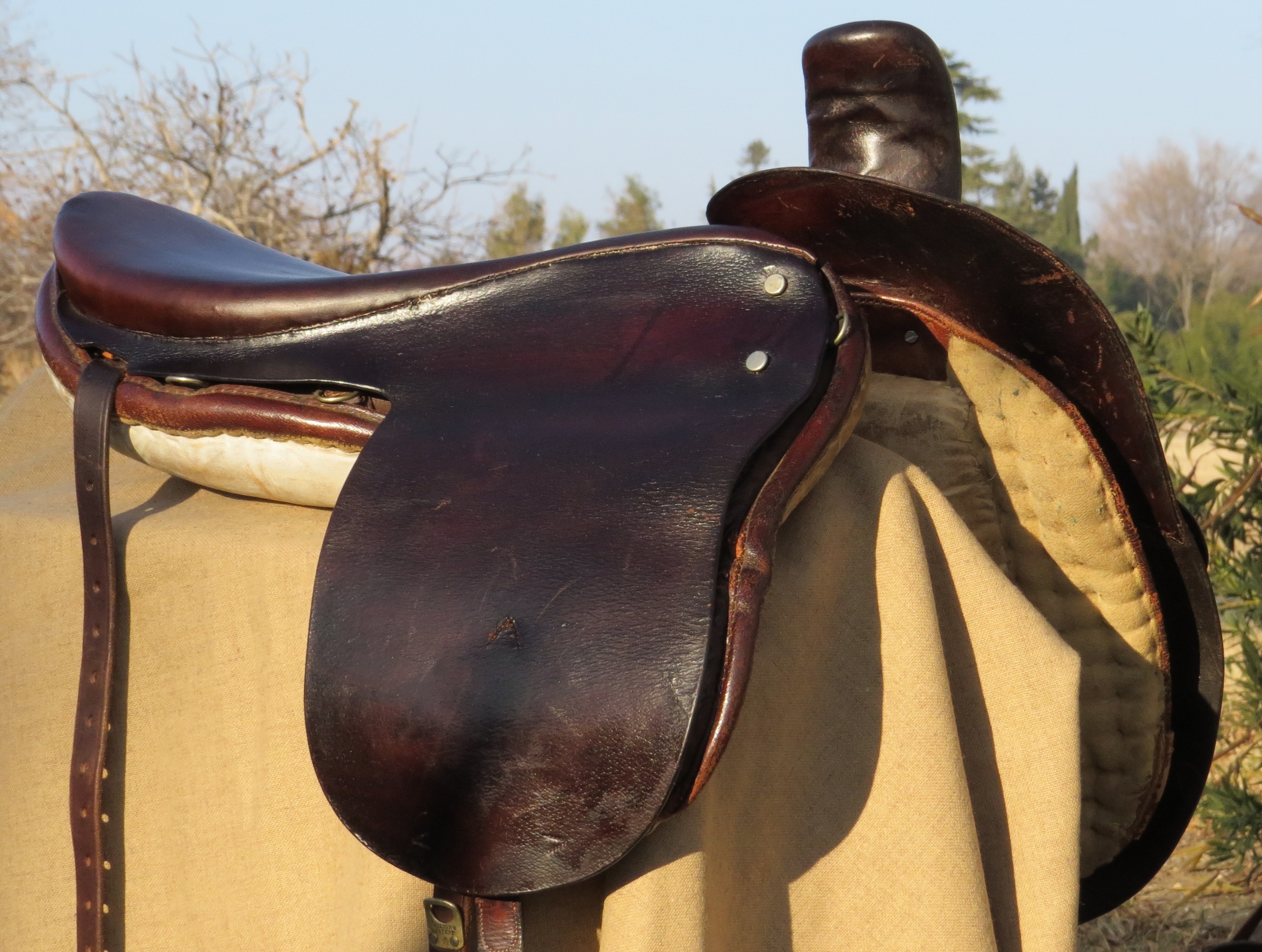 Champion & Wilton Stirrup Leather Fitting Side Saddle Sidesaddle 