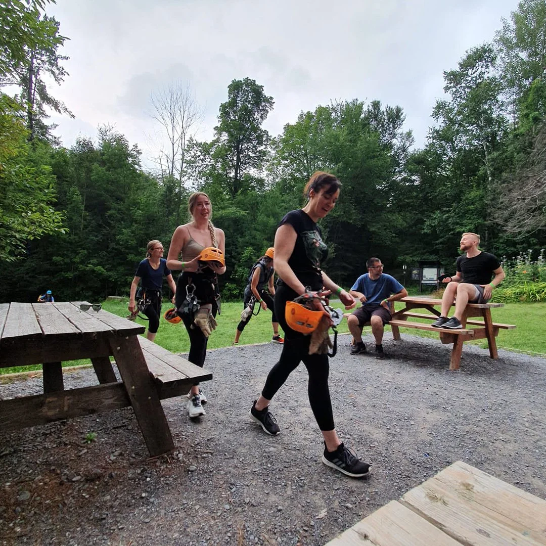 project1_aerial park 2.jpg