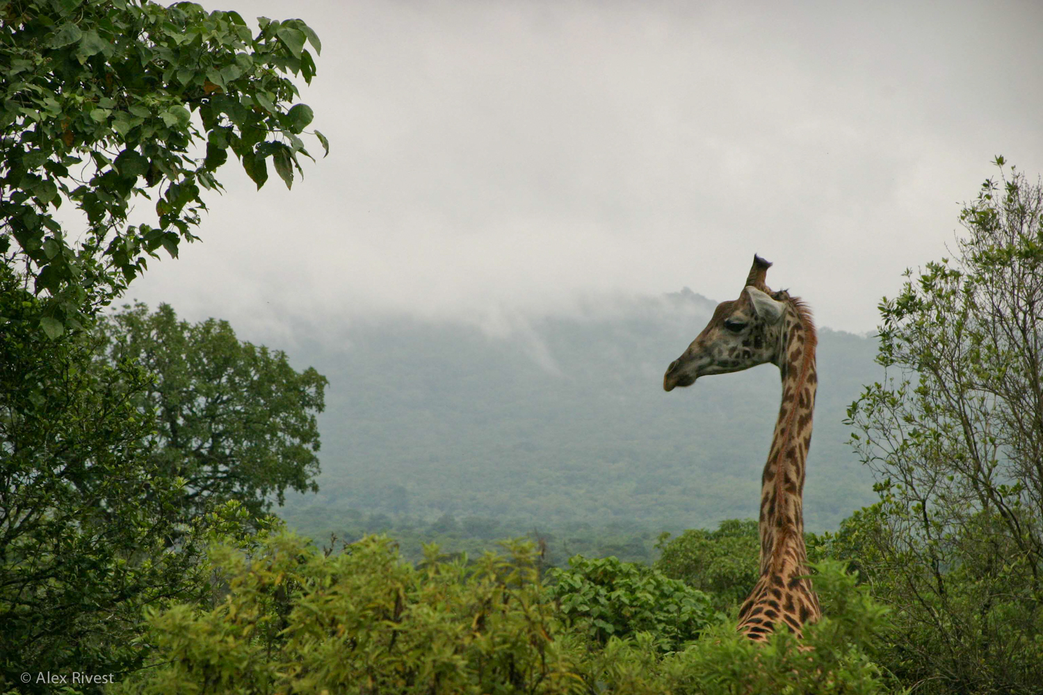 IMG_9167.JPG