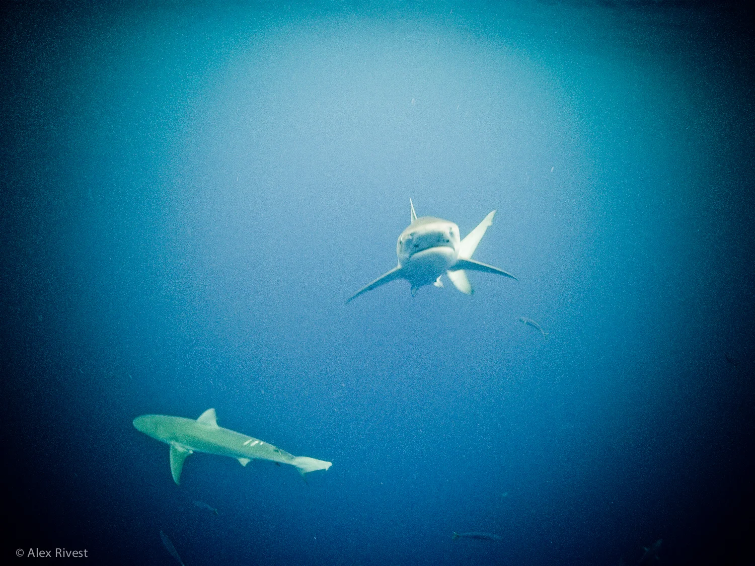 GOPR3962.JPG