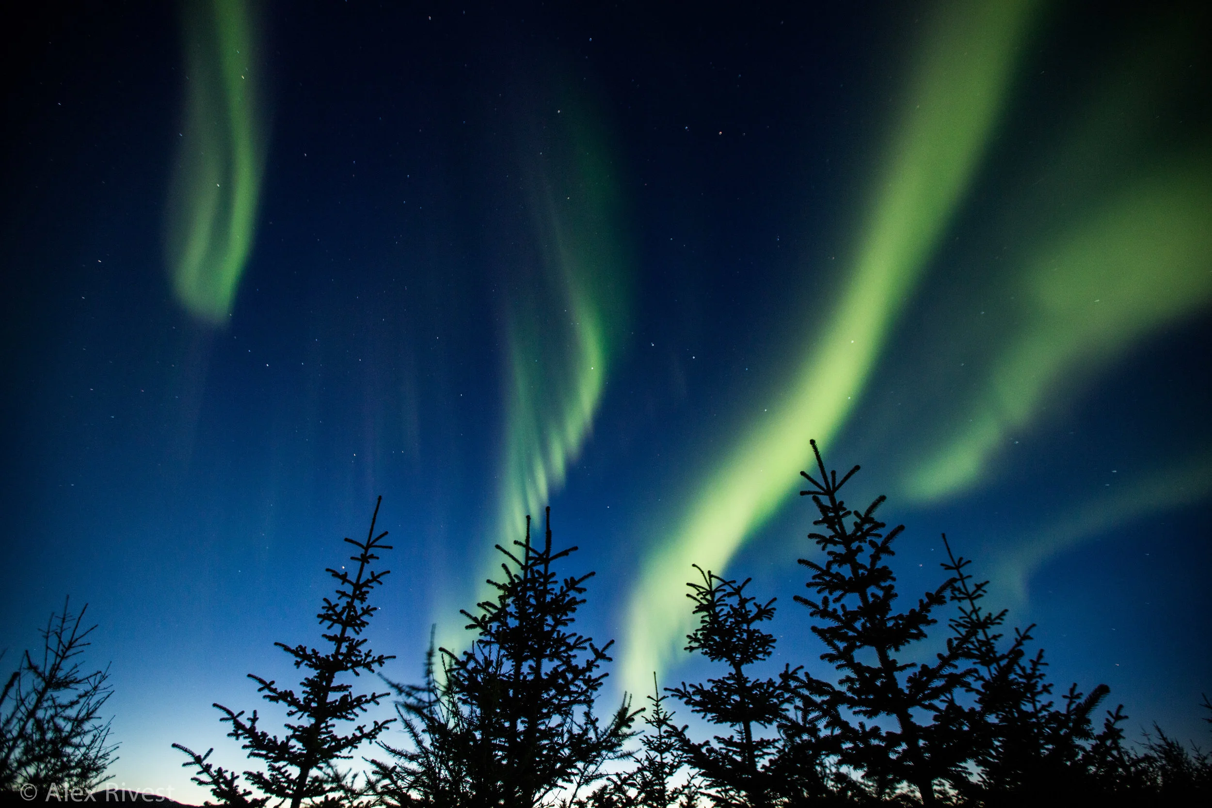 2016-09 Iceland_0272_5996_Best.jpg