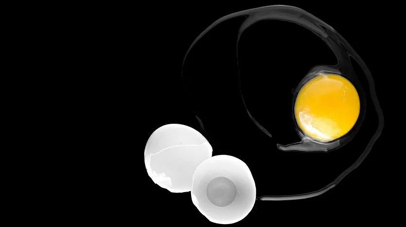 egg 2 crop.JPG