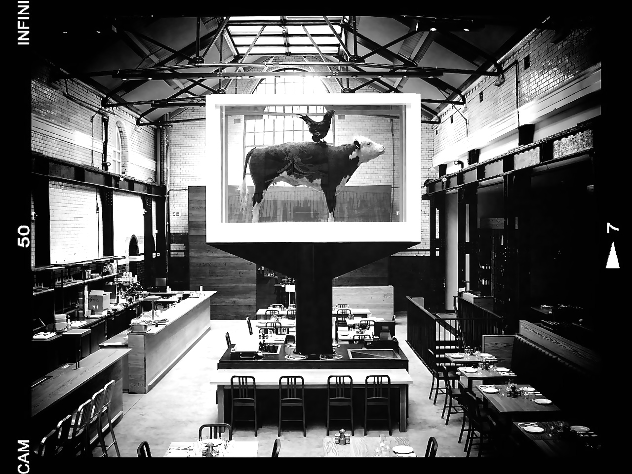 THE COW & THE ROOSTER BY DAMIEN HIRST / 