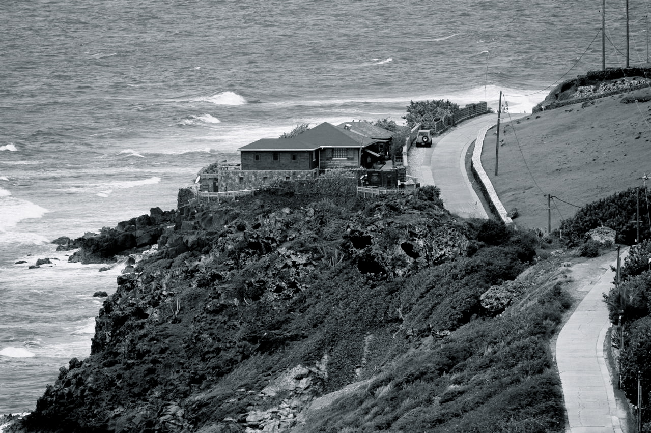 MAISON NOUREEV / WILD COAST TOINY