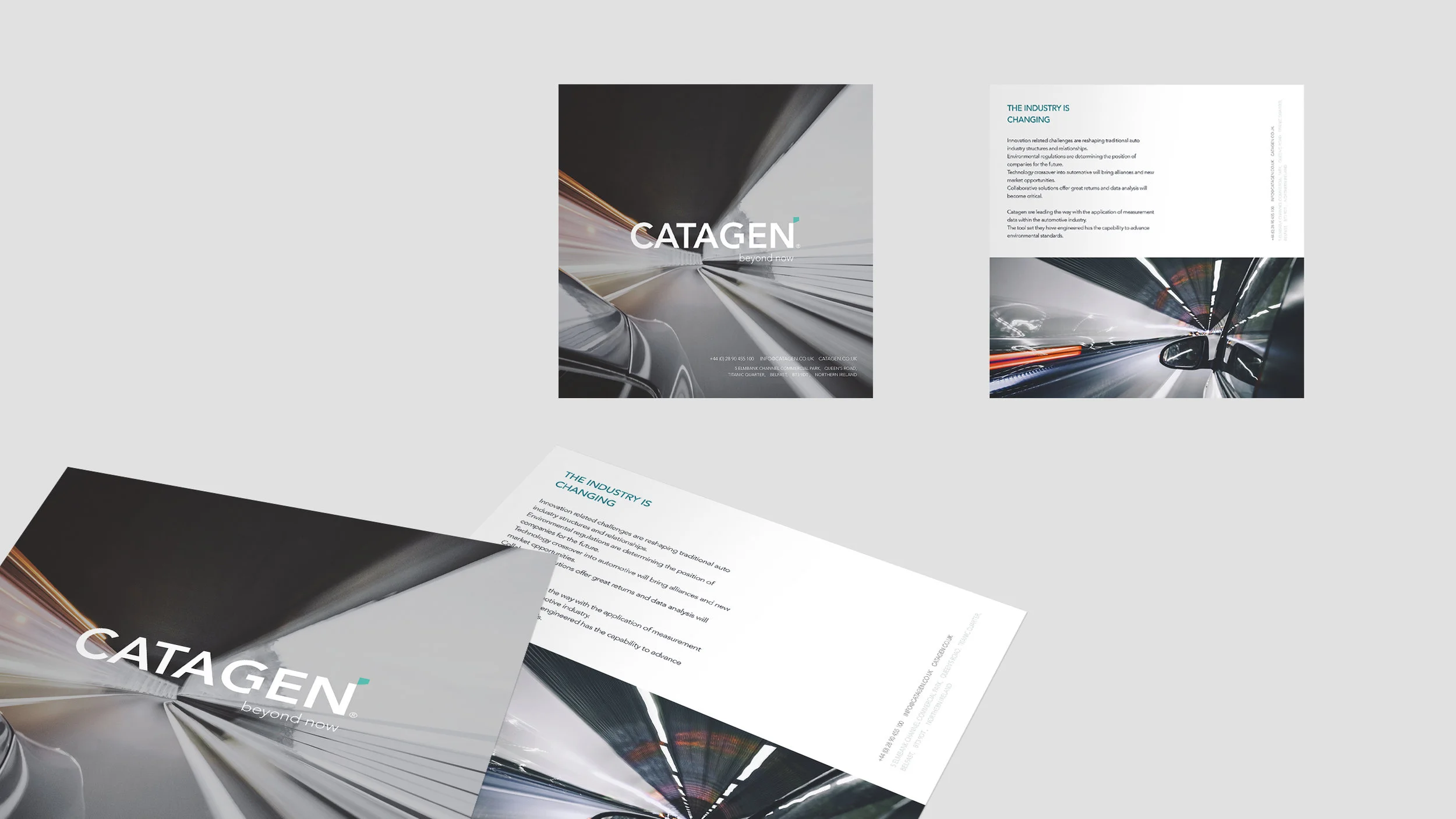 CATAGEN PRINT MATERIALS.jpg