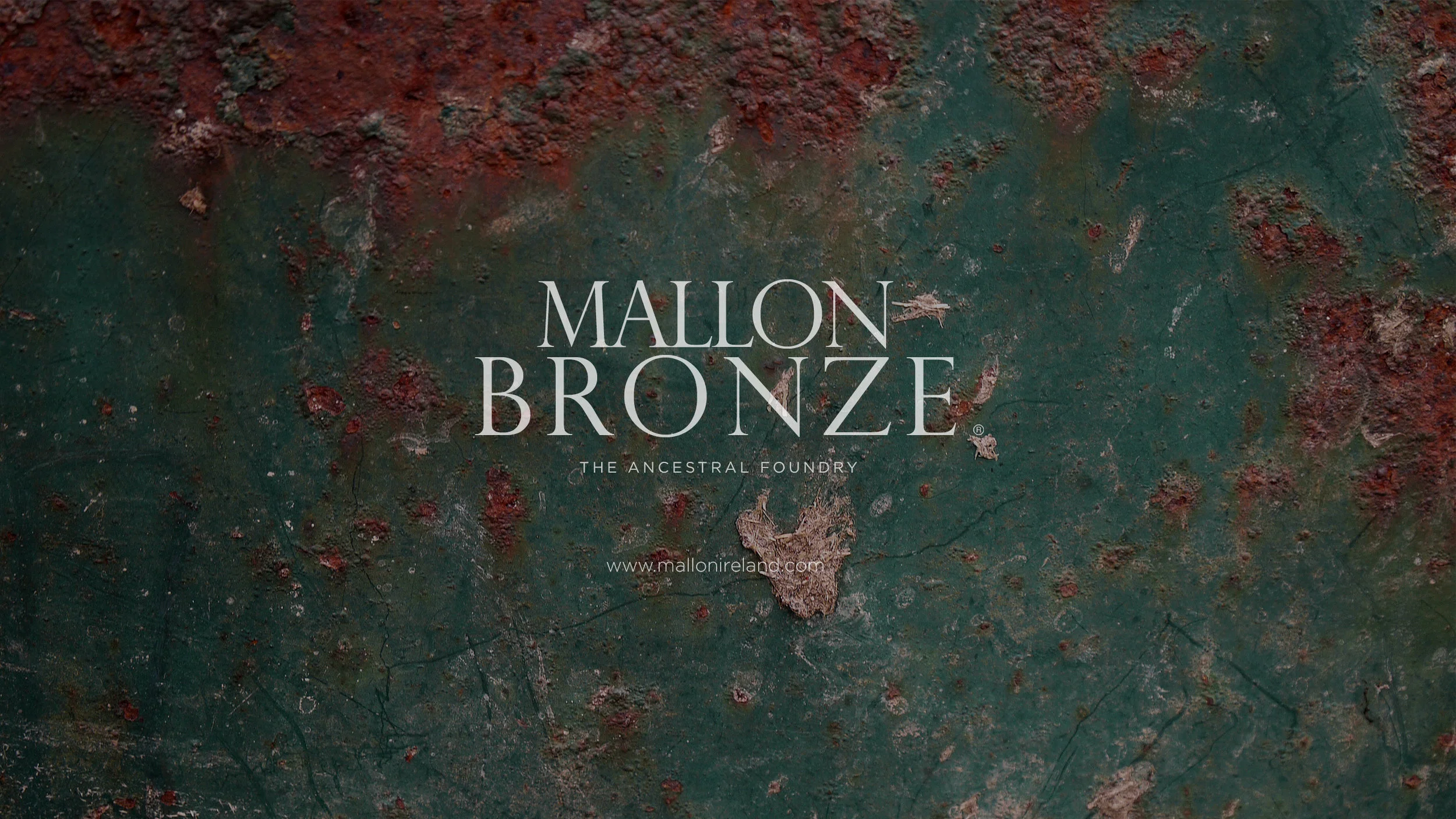 MALLON CASE STUDY BRONZE IMAGE 3.jpg