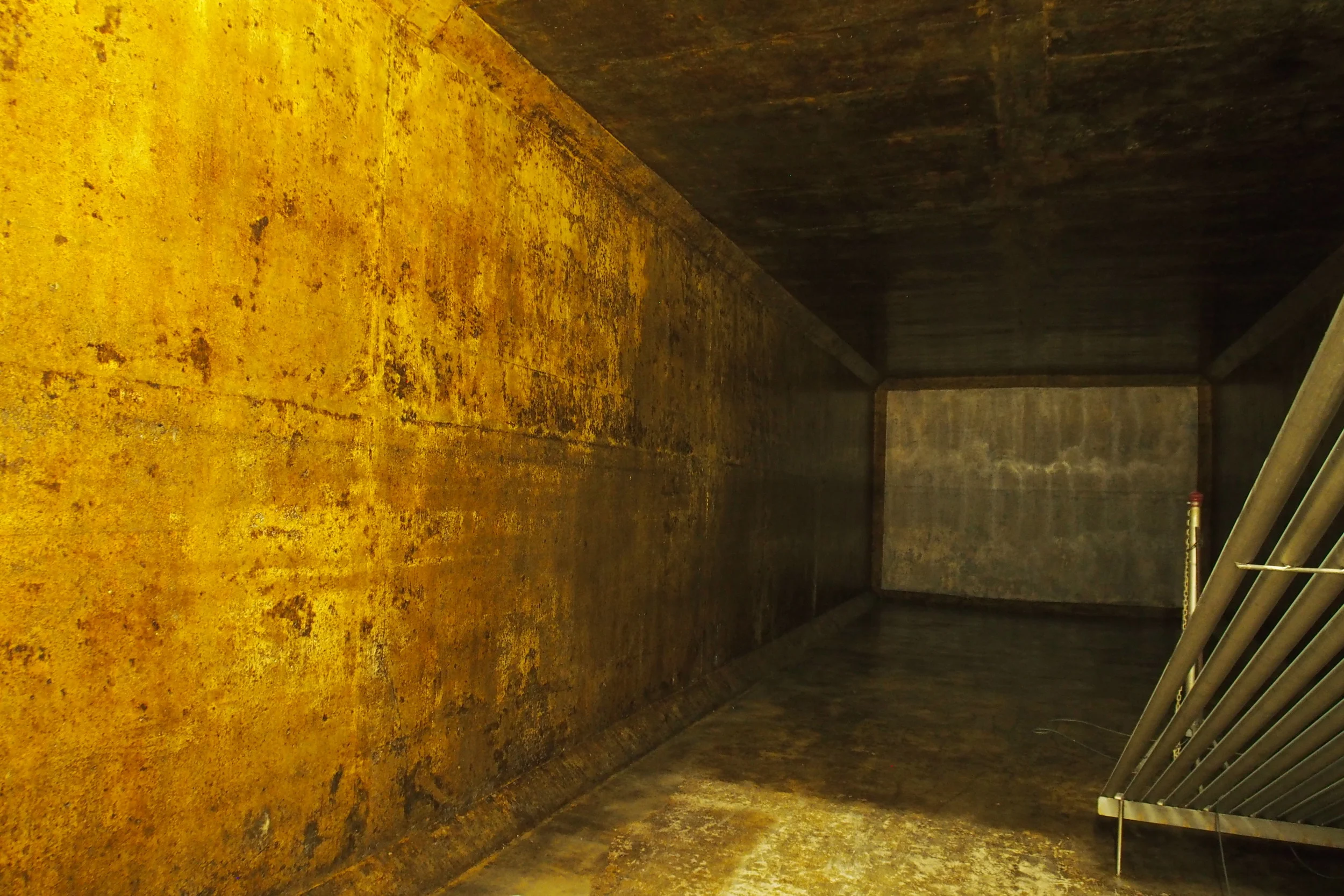 Colour Inside Tank.jpg