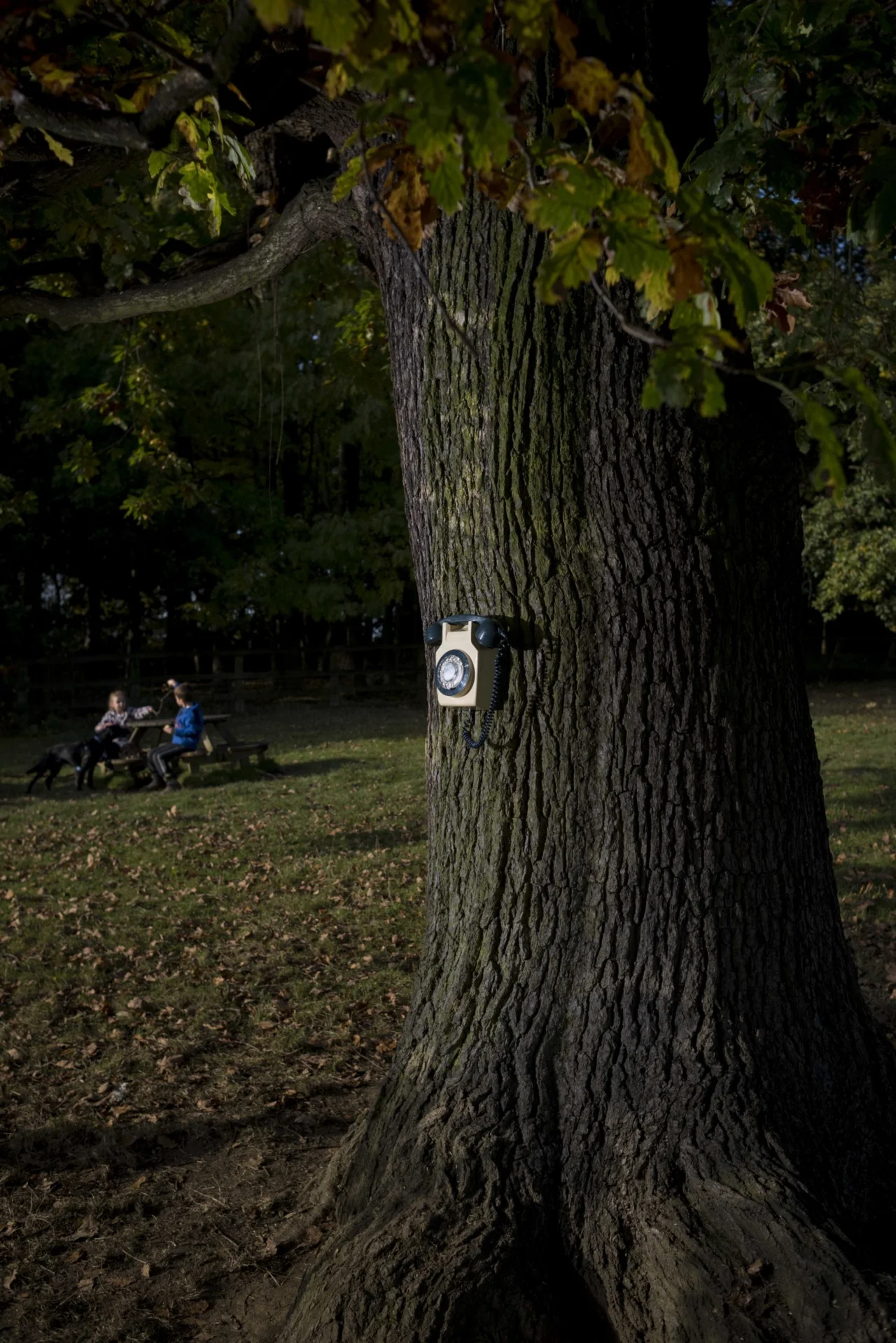 "If Not Now, When?" YSP, 2017. Photo by Jonty Wilde.