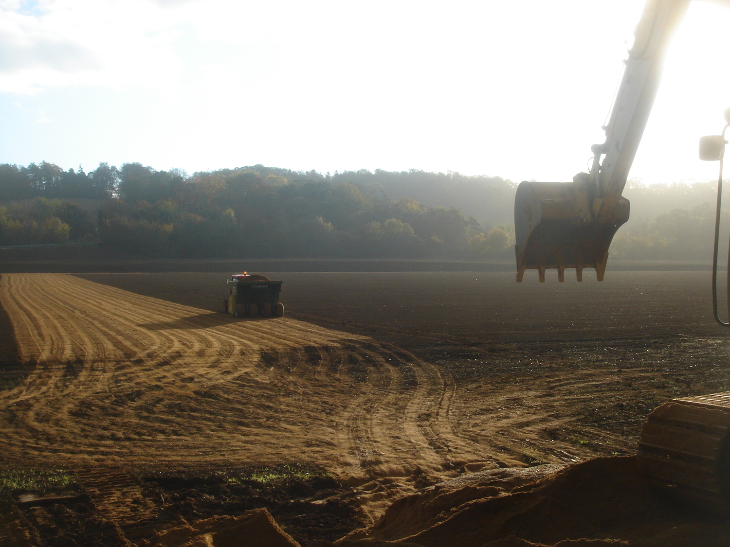 The Club - field in progress.jpg