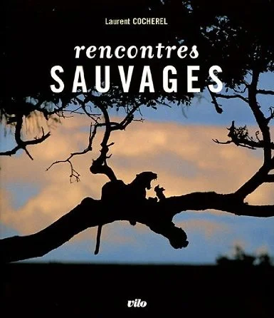 Rencontres sauvages Editions Vilo, 2005 144 pages, format 28,5 x 24,5 cm Prix : 25 € Beau livre portfolio avec des récits de voyages au cœur de la nature sauvage. Ce livre partage des grands moments de nature que j'ai pu vivre aux quatre coins du monde. 10 récits dans des écosystèmes très différents : * Au pays du tigre du Bengale (Inde) * Le royaume du rhinocéros unicorne (Népal) * Dans l'antre des fauves d'Afrique (Tanzanie) * Face à face avec le grand requin blanc (Afrique du Sud) * A la rencontre des ours géants (Alaska) * Entre forêt boréale et océan (Québec) * Sous le soleil de minuit (Spitzberg) * Au pays des loutres (Ecosse) * Les clameurs de l'Atlantique (îles Shetland) * Dans les plumes des migrateurs (Afrique du Sud, Bretagne, Mauritanie). Un carnet de voyage, avec des informations pratiques, accompagne chaque récit.