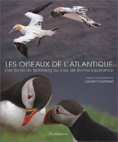 Les oiseaux de l’Atlantique, des fjords du Spitzberg au cap de Bonne-Espérance Editions Flammarion, 2003. 220 pages, format 29 x 24 cm. Prix : 25 € Ma passion pour l'ornithologie et les espèces littorales m'a naturellement conduit à mener à bien ce beau livre sur les oiseaux de la façade atlantique. J'y décris le portrait de 45 espèces selon 3 types de milieux, avec de nombreuses photographies : * Les oiseaux des falaises et des récifs. * Les oiseaux des grèves et des rivages. * Les oiseaux des marais et des lagunes. Des informations sur les effectifs et les sites où les observer en France, ainsi que des destinations privilégiées pour observer les oiseaux du littoral (Ecosse, Mauritanie et Afrique du Sud), agrémentent le livre.
