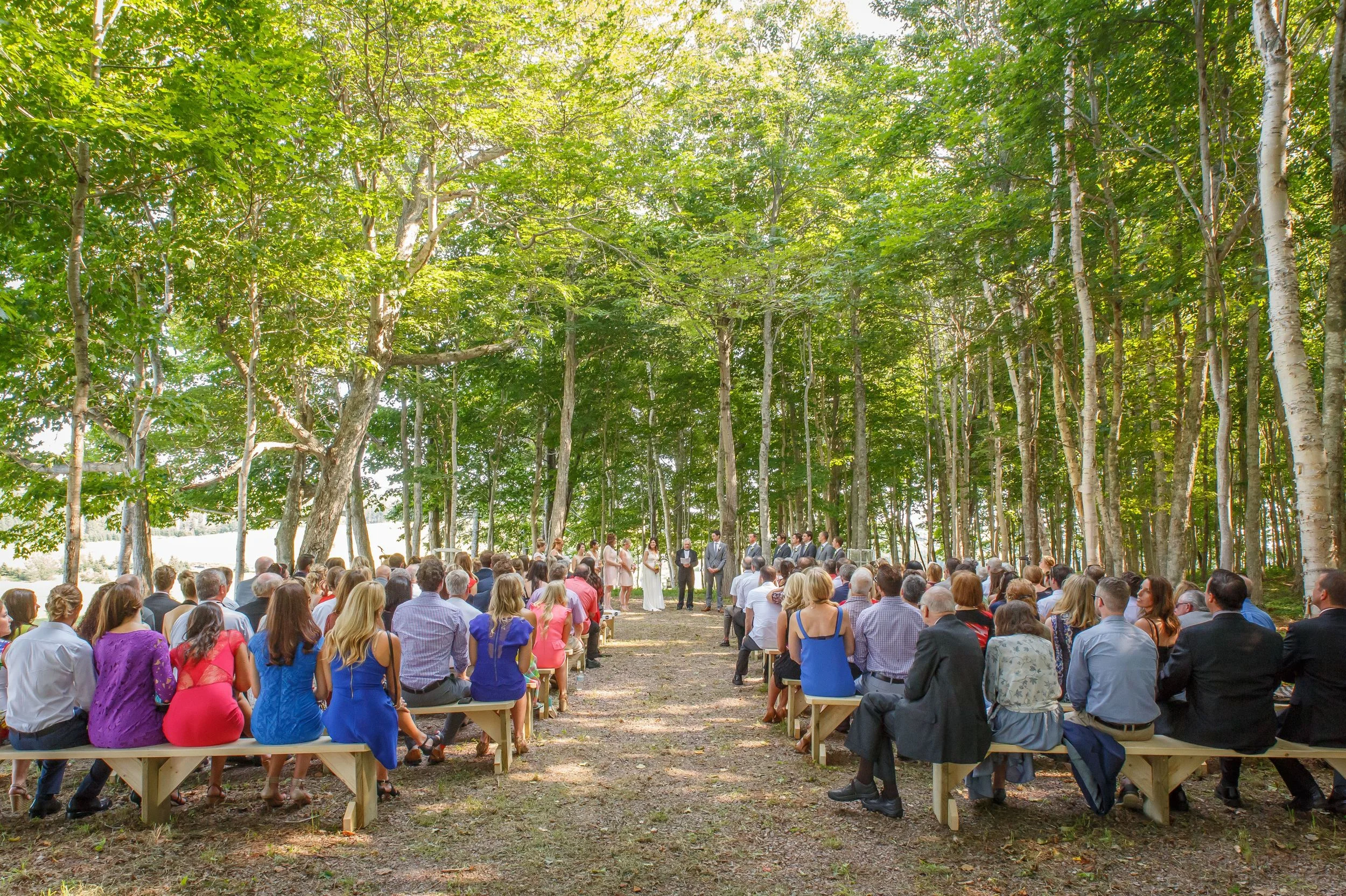 Candice &amp; Logan - Outdoor Clinton Hills Wedding