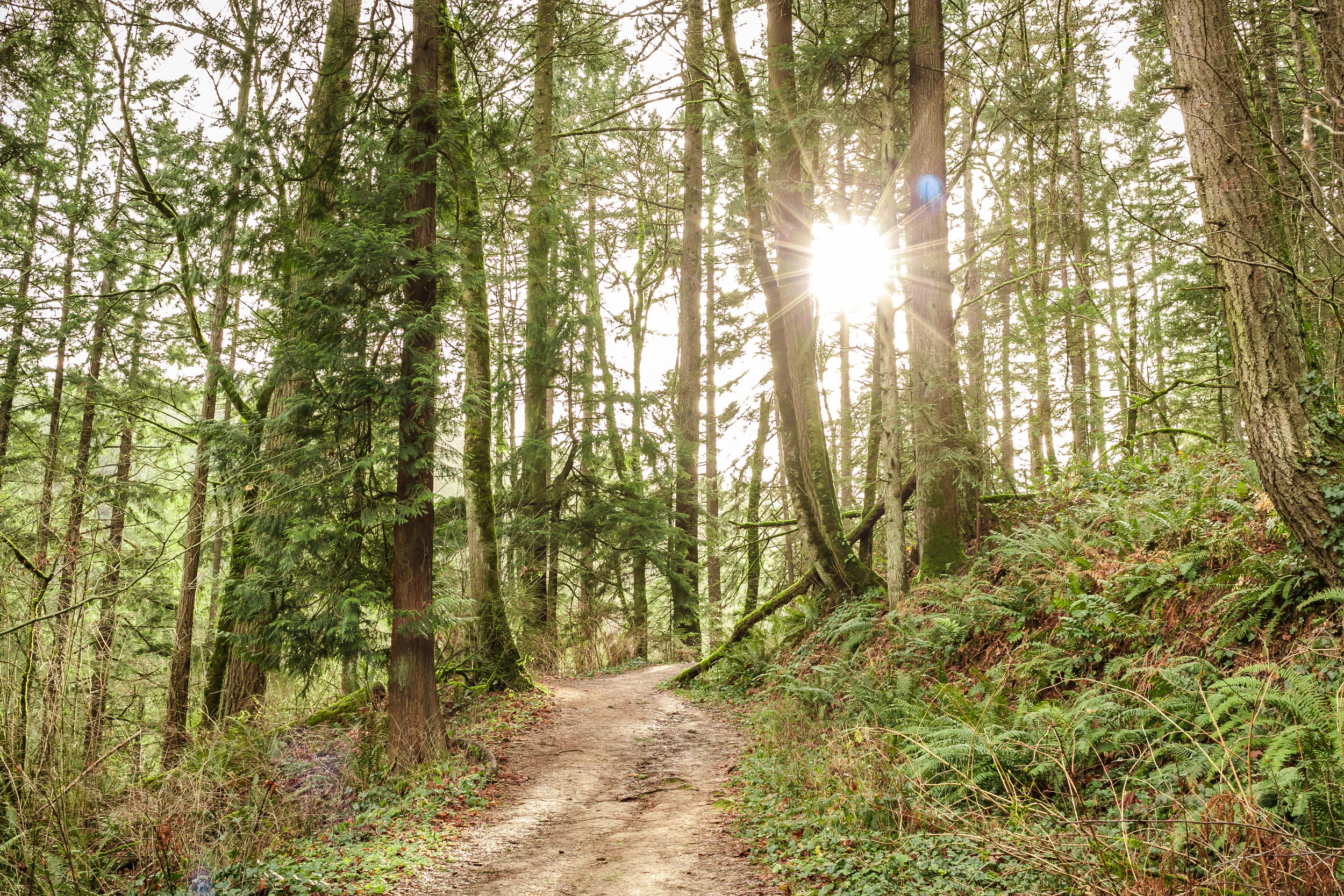 Travel - Portland, Oregon