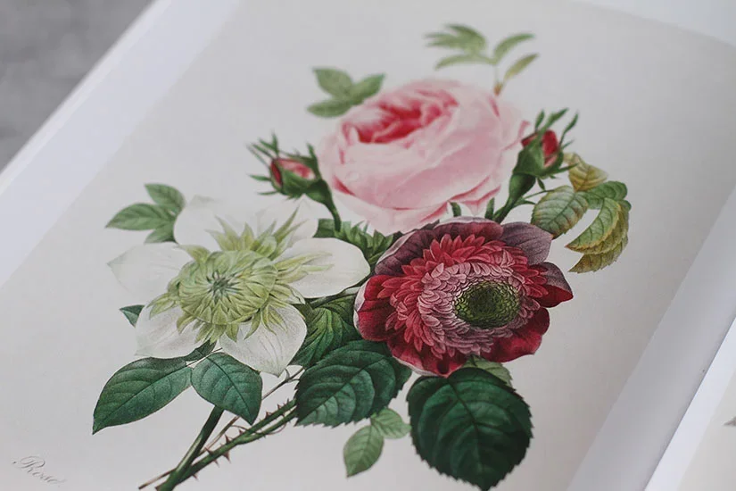 Vintage Botanical Rose inpiration
