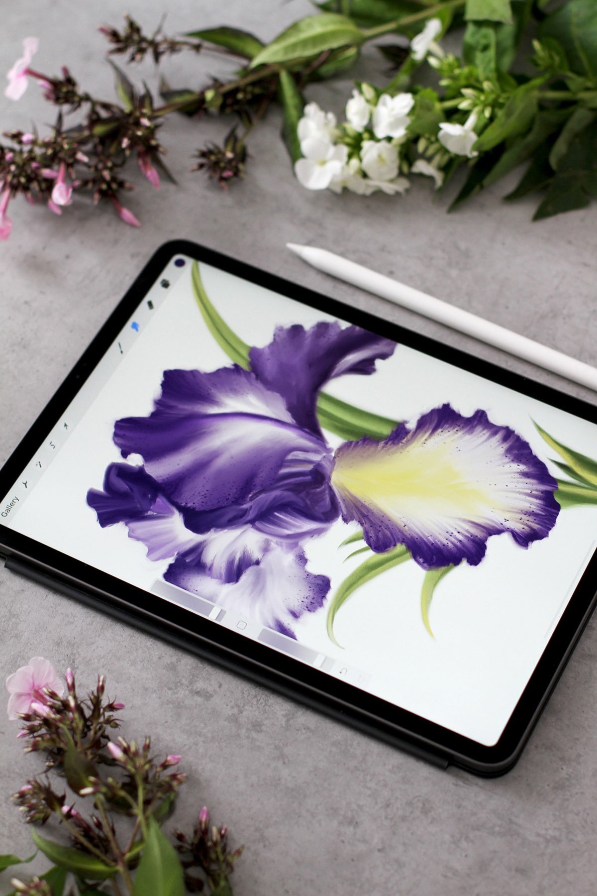 Digital painting of a vibrant purple iris flower on iPad with Apple Pencil and floral props.