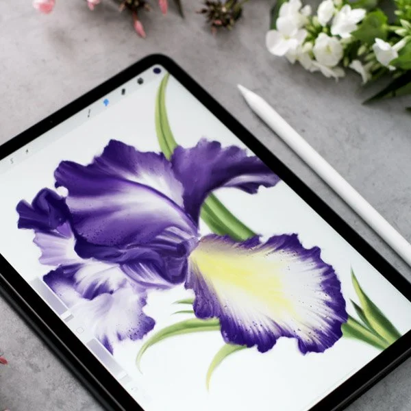 Step-by-step botanical illustration of a purple iris created in watercolor, ink, and Procreate, shown on an iPad with digital pencil